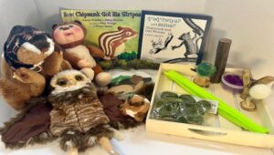 Woodland-themed display with a plush owl and chipmunk, two children's books about chipmunks and owls, and a wooden tray of toy nature props.