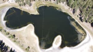 Aerial view of a dark, irregular pond with sandy banks and surrounding pine trees; a road runs along the bottom edge.