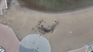 Aerial view of a group of people standing in an irregular circle on a dusty outdoor area beside curved concrete surfaces