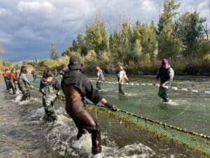 Group of people in waders wading through a river while pulling a green fishing net with floating buoys, mountain and tree backdrop behind them.