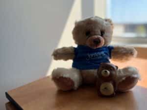 Plush teddy bear wearing a blue shirt sits on a wooden table, holding a small brown bear figure.