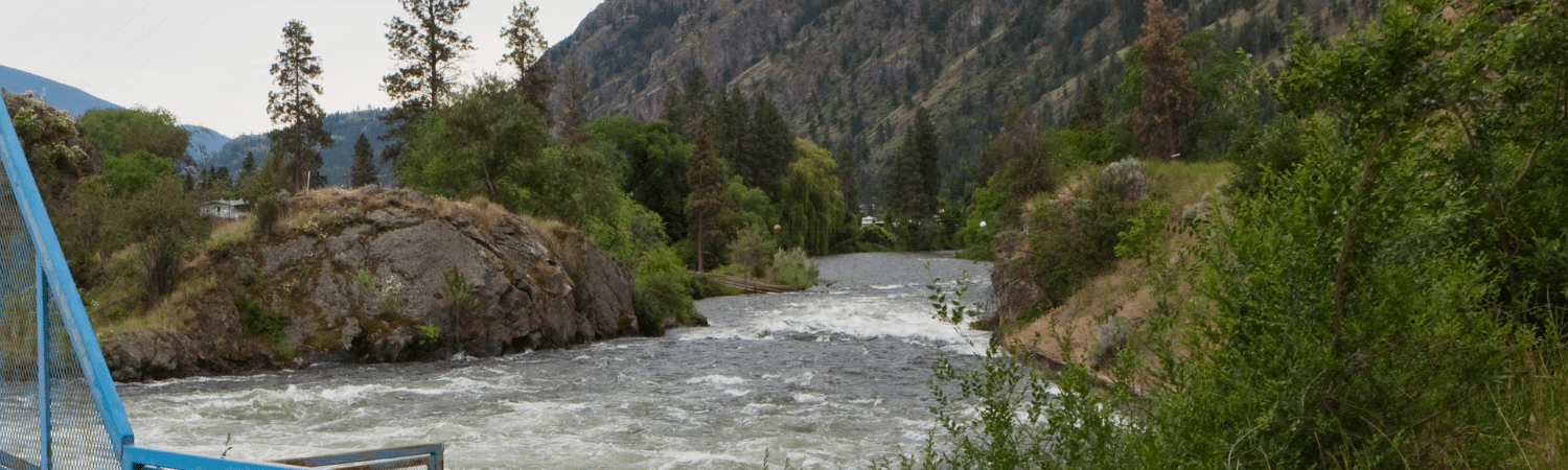 Rough river with whitewater flowing between rocky banks and green trees, blue railing visible on the left foreground.