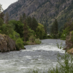 Rough river with whitewater flowing between rocky banks and green trees, blue railing visible on the left foreground.