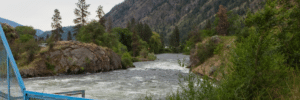 Rough river with whitewater flowing between rocky banks and green trees, blue railing visible on the left foreground.