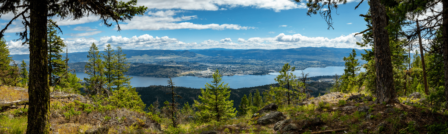 Panoramic forest overlook with a blue lake, a town along the shore, and distant mountains under a partly cloudy sky.