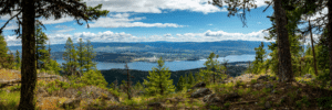Panoramic forest overlook with a blue lake, a town along the shore, and distant mountains under a partly cloudy sky.