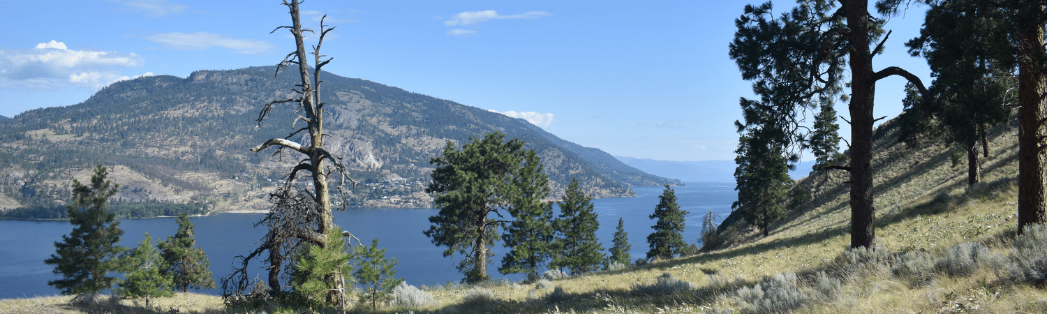 Tranquil lakeside landscape with evergreen trees on a grassy hillside and distant mountains under a blue sky.