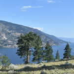 Tranquil lakeside landscape with evergreen trees on a grassy hillside and distant mountains under a blue sky.