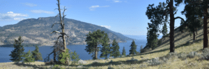 Tranquil lakeside landscape with evergreen trees on a grassy hillside and distant mountains under a blue sky.